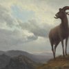 Albert-Bierstadt-Long-Horned-Sheep