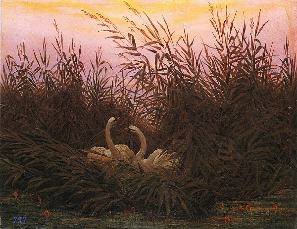 Caspar David Friedrich Schwaene im Schilf beim ersten Morgenrot Wandbild