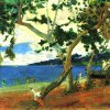 Paul-Gauguin-Meereskueste