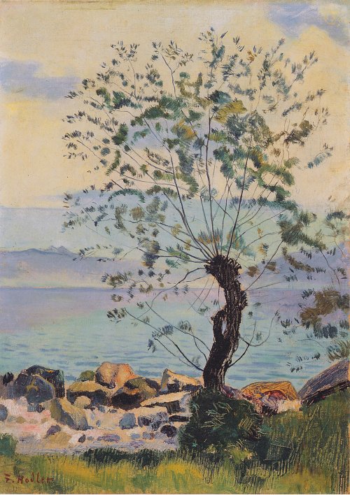 Ferdinand Holler Weiden Baum am See Wandbild