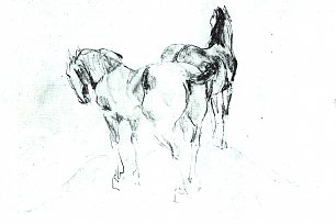 Franz Marc Zwei Pferde 2 Wandbild