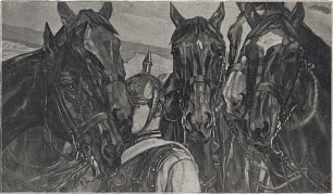 Wilhelm Truebner Kavalleriepferde Wandbild