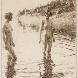 Anders-Zorn-Shallow
