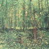 Vincent-van-Gogh-Baeume-und-Unterholz