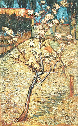 Vincent van Gogh Bluehender Birnbaum Wandbild