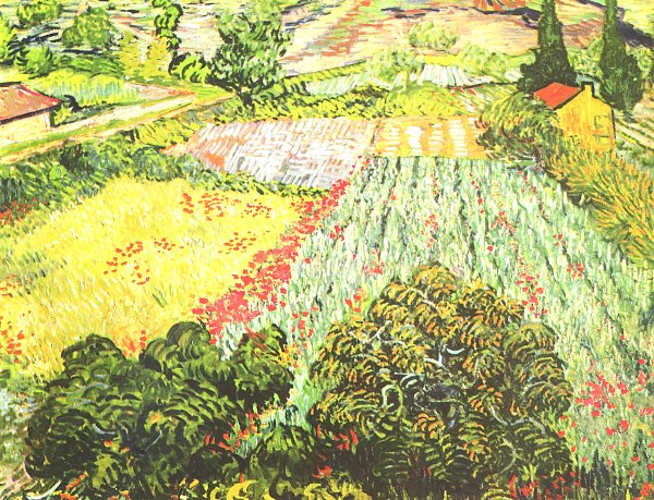 Vincent van Gogh Das Mohnblumenfeld Wandbild