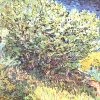 Vincent-van-Gogh-Die-Buesche