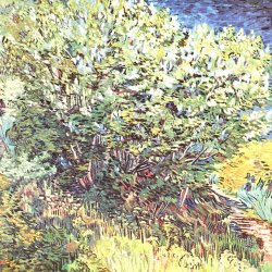Vincent-van-Gogh-Die-Buesche