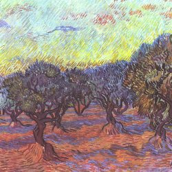 Vincent-van-Gogh-Olivenhain-1