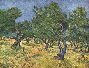 Vincent van Gogh Olivenhain 2 Wandbild