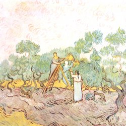 Vincent-van-Gogh-Olivenpflaeckerinnen