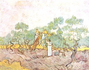 Vincent van Gogh Olivenpflaeckerinnen Wandbild