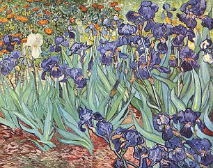 Vincent van Gogh Stillleben mit Schwertlilien 2 Wandbild