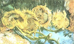 Vincent van Gogh Vier verbluehte Sonnenblumen Wandbild