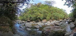 Regenwald Fluss Wandbild