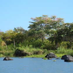 Natur-von-Nicaragua