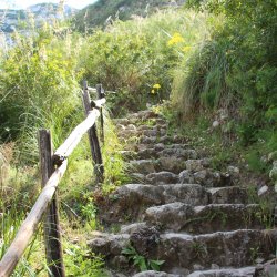 Wanderweg-Treppe