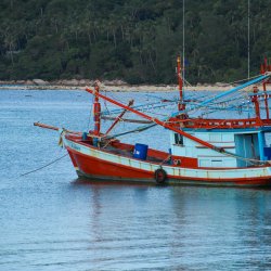 Rotes-Fischerboot