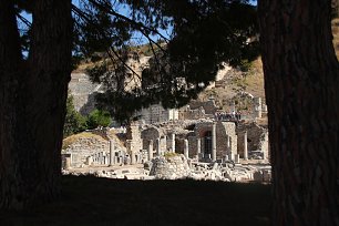 Ruinen hinter Baeumen Wandbild