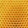 Bienenwaben-Honig