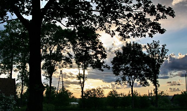 Abendlicht Baeume Umrisse