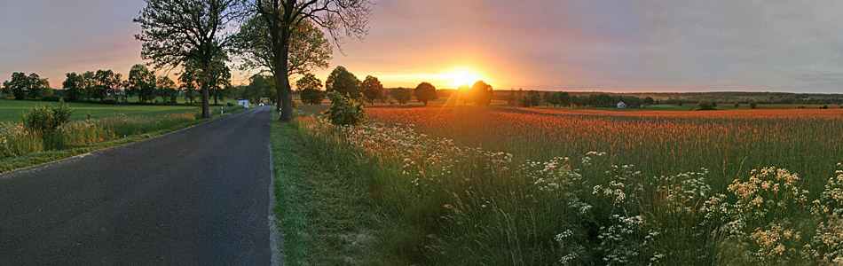 Sonnenuntergang Wald Felder Wiesen