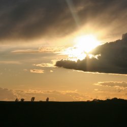 Abendsonne-Strahlen-Leuchten