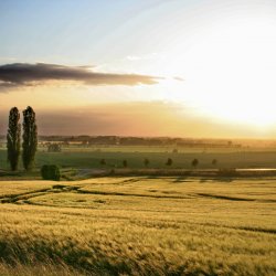 Landschaft-Sonnenuntergang-Romantik