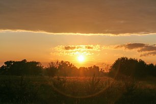 Wiese Natur Sonnenuntergang Wandbild