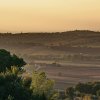 Umbrien-Baeume-Abendsonne