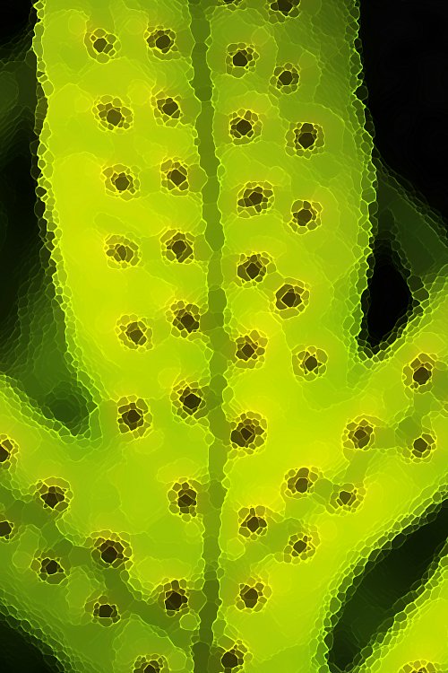 Abstrakt 0903 Wandbild