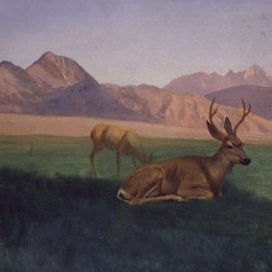 Albert-Bierstadt-Der-Hirsch