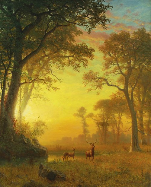 Albert Bierstadt Licht im Wald Wandbild
