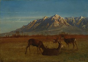 Albert Bierstadt Rehe im Gebirge Wandbild