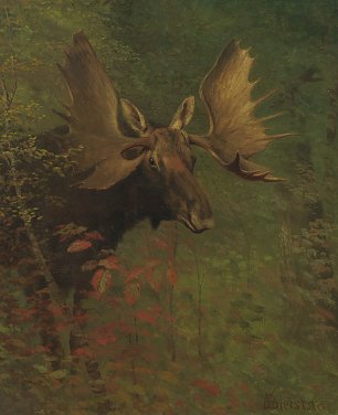 Albert Bierstadt Study of a moose Wandbild