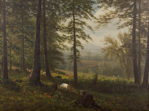 Albert Bierstadt View to a Clearing Wandbild