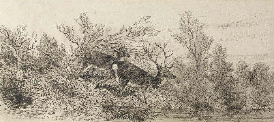 Karl Bodmer Hirsch im Wald Wandbild