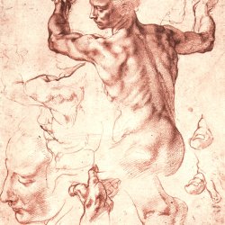 Michelangelo-Buonarroti-Studien-fuer-die-Gewoelbefresken-der-Sixtinischen-Kapelle-Libysche-Sibylle