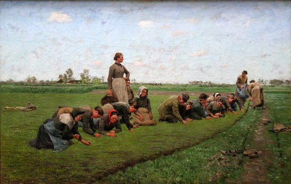 Emile Claus Flaxweeding in Flanders Wandbild