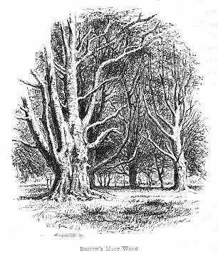 Walter Crane Barrows Moor Wood Wandbild
