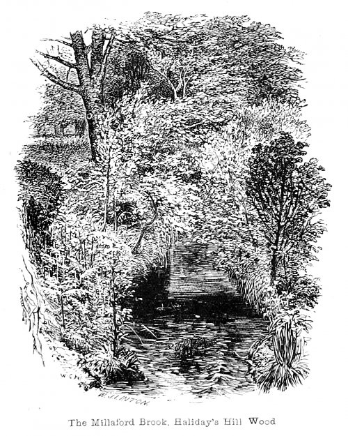 Walter Crane The Millaford Brook Haliday s Hill Wood Wandbild