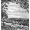 Walter-Crane-The-New-Forest-from-Bramble-Hill-Sunrise