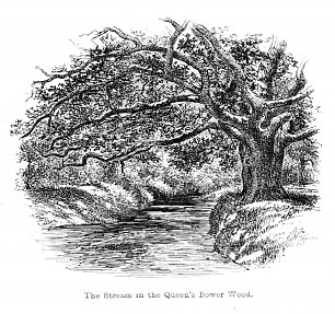 Walter Crane The Stream in the Queen s Bower Wood Wandbild