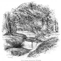 Walter-Crane-View-in-the-Great-Huntley-Woods