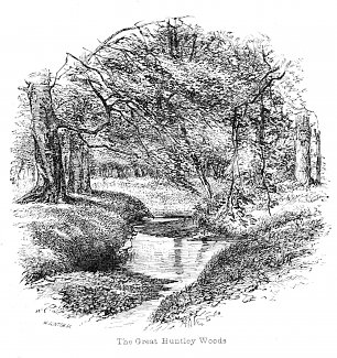 Walter Crane View in the Great Huntley Woods Wandbild