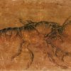Albrecht-Duerer-Ein-Hummer