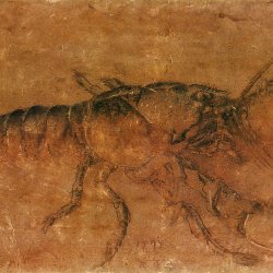 Albrecht-Duerer-Ein-Hummer