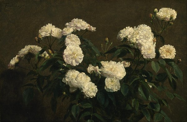 Henri Fantin Latour Still Life of White Roses Wandbild