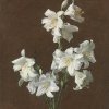 Henri-Fantin-Latour-White-Lilies