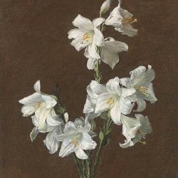 Henri-Fantin-Latour-White-Lilies